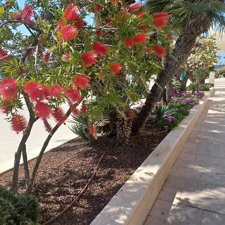 App Dalia Losinj Mali Lošinj Exterior foto