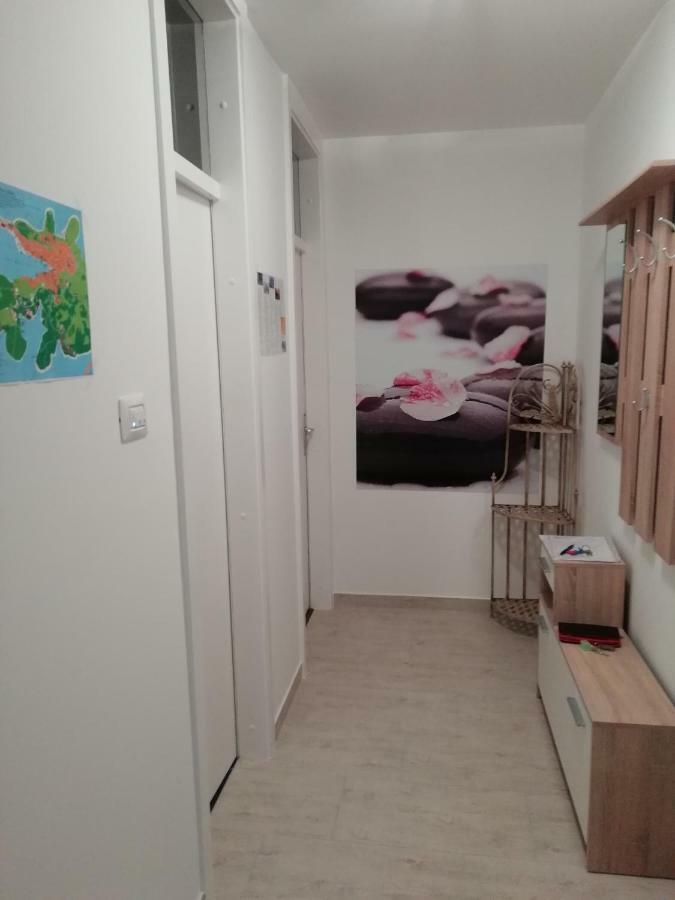 Apartment App Dalia Losinj *